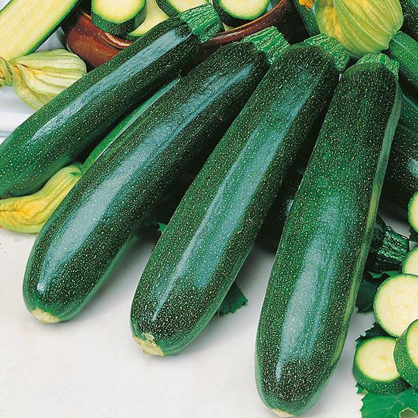 Courgette Zucchini (20 Seeds) FG