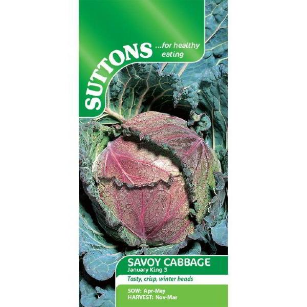 Savoy Cabbage January King 3 (450 Seeds) S