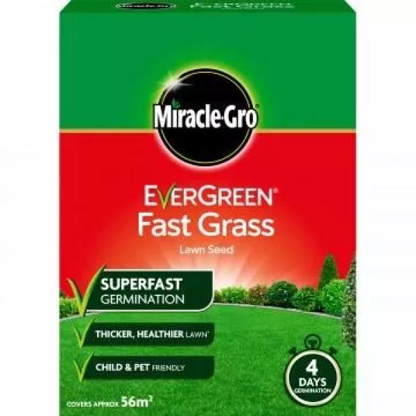 Evergreen Fast Grass Lawn Seed (covers 56m2)