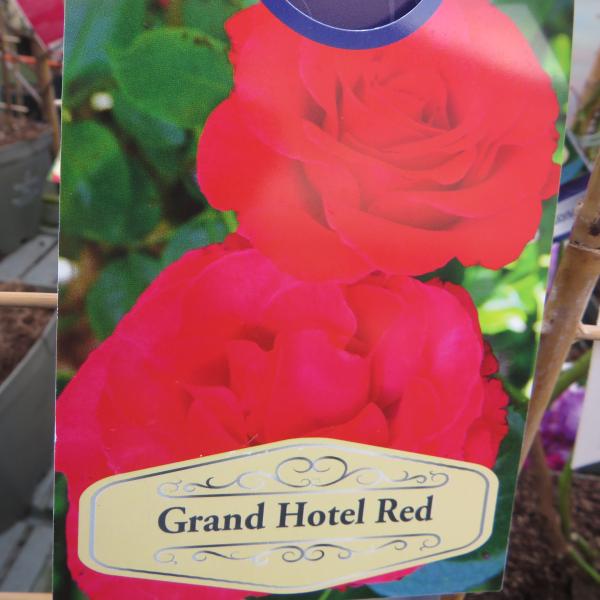 Grand Hotel Red (Climbing)